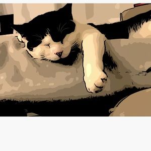 Meet your Posher, Jenny